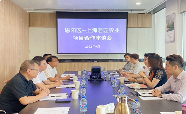 杨波率队赴上海开展投资促进活动